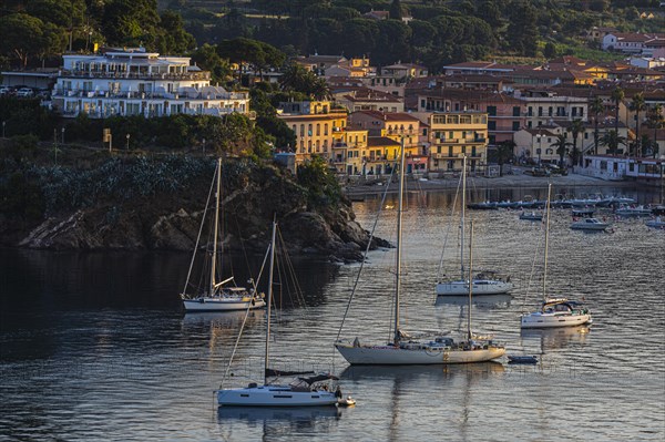 Sailing marina of Porto Azzurro at dawn, Elba, Tuscan Archipelago, Tuscany, Italy, Europe