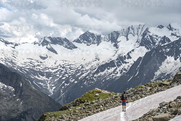 Mountaineer on hiking trail with snow, Berliner Hoehenweg, mountain landscape with glaciated peaks Hochfeiler and Hoher Weisszint, Zillertal Alps, Tyrol, Austria, Europe