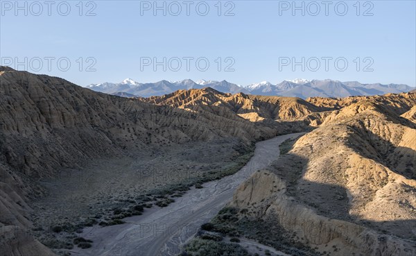 Dry riverbed, canyon, Tian Shan mountains in the background, eroded hilly landscape, badlands, Valley of the Forgotten Rivers, near Bokonbayevo, Yssykkoel, Kyrgyzstan, Asia