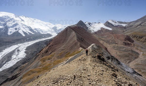 Mountaineer at Traveller's Pass with view of impressive mountain landscape, high mountain landscape with glacier moraines and glacier tongues, glaciated and snow-covered mountain peaks, Lenin Peak and Peak of the XIX Party Congress of the CPSU, Trans Alay Mountains, Pamir Mountains, Osh Province, Kyrgyzstan, Asia