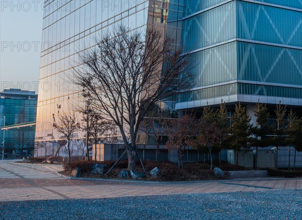 Low angle view of glass office building and sidewalk at sunset