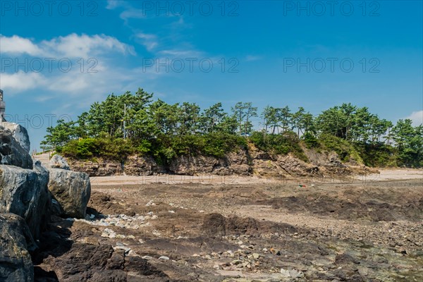Ocean beach of craggy jagged rocks with trees in background under blue sky