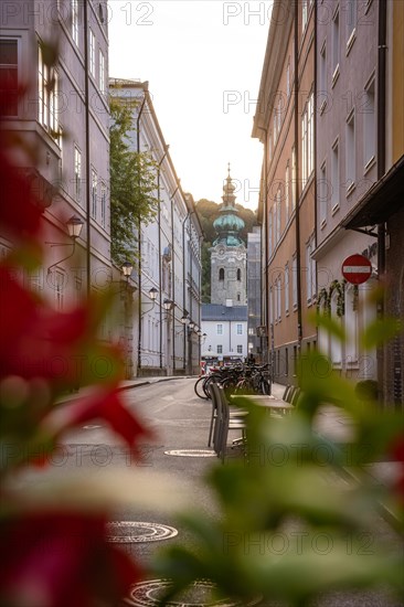 An urban alley with historic buildings and red flowers in the foreground, Salzburg, Austria, Europe