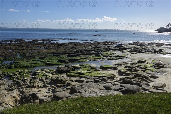 Sandy beach beach Plage Du Trez Hir in Plougonvelin on the Atlantic coast at the mouth of the Bay of Brest, on the right Fort de Bertheaume, behind the rocks Les Tas de Pois at the Pointe de Pen-Hir on the Crozon peninsula, department Finistere Penn ar Bed, region Bretagne Breizh, France, Europe