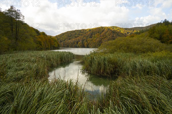 Plitvice Lakes National Park, protected forest area, Croatia, Europe