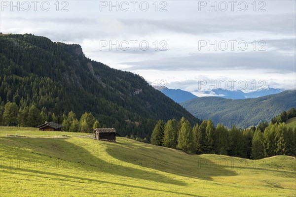 Landscape with alpine huts, Alpe di Siusi, high alpine pasture, Dolomites, South Tyrol, Italy, Europe