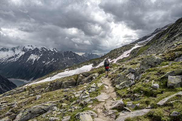 Mountaineer on hiking trail, Berliner Hoehenweg, mountain landscape with glaciated peaks Hochfeiler and Hoher Weisszint, Zillertal Alps, Tyrol, Austria, Europe