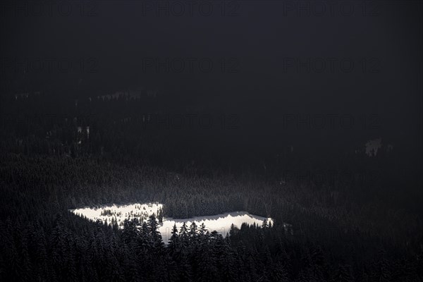 Snowy winter forest in front of a dark sky, Balderschwang, Oberallgaeu, Bavaria, Germany, Europe