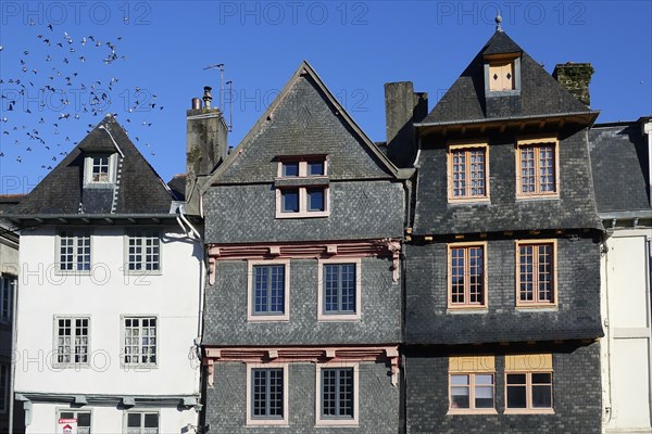 Old houses with slate facades on Place Alende, Morlaix Montroulez, Finistere Penn Ar Bed department, Brittany Breizh region, France, Europe