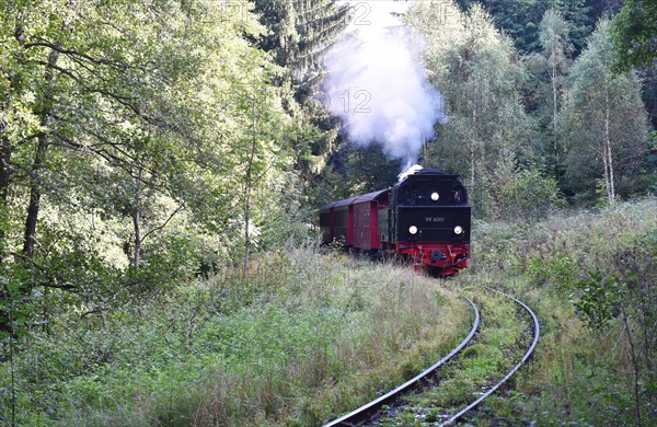 Steam locomotive of the Harz narrow-gauge railway runs through the Harz mountains, Saxony-Anhalt, Germany, Europe