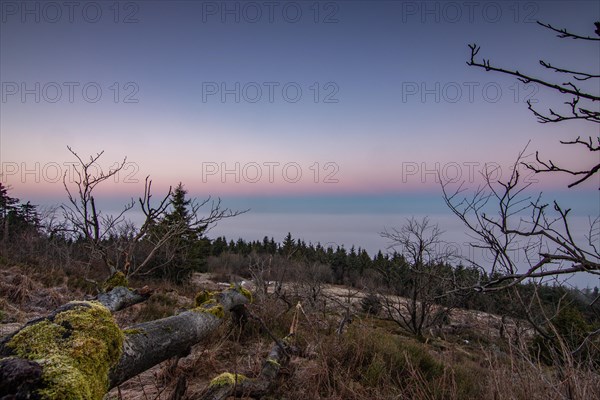 Landscape on the Grosser Feldberg, Taunus volcanic region. A cloudy, sunny winter day, meadows, hills, snow and forests with a view of the winter sunset. Hesse, Germany, Europe