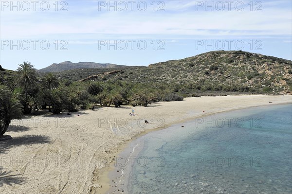 Palm Beach Vai, East Crete, Crete, Greece, Crete, Greece, Europe