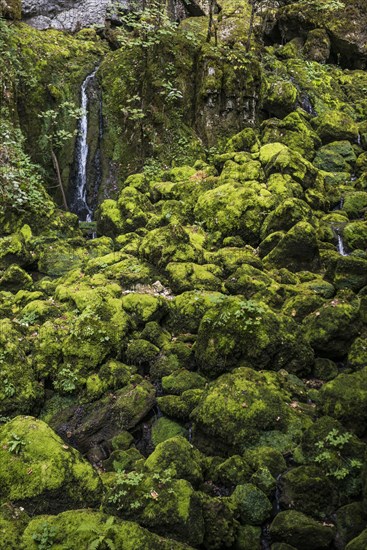 Waterfall, Source du Lison, Source des Lison, Nans-sous-Sainte-Anne, Departement Doubs, Bourgogne-Franche-Comte, Jura, France, Europe