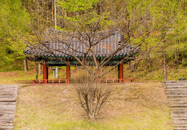 One large and one small leafless tree in front of a covered oriental pavilion with lush green forest in background and wooden stairs on either side