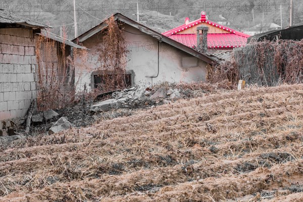 Selective color to emphasis house with a bright red roof behind old dilapidated house in a rural community in South Korea
