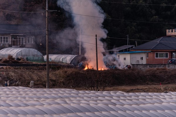 Large open fire with yellow flames and billowing smoke outside near a red brick house and three plastic cover green houses