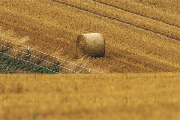 Single bale of straw lying on a field with a fence in the foreground, Osterholz, Wuppertal, North Rhine-Westphalia, Germany, Europe
