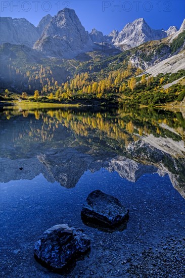 Reflection of steep mountains in a mountain lake, grazing light, autumn, larches, Seebensee, Mieminger Gebirge, Tyrol, Austria, Europe