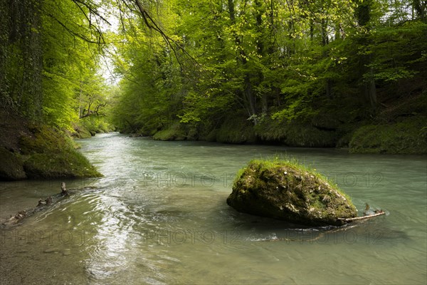 Erlauf, Erlauf Gorge, Purgstall an der Erlauf, Lower Austria
