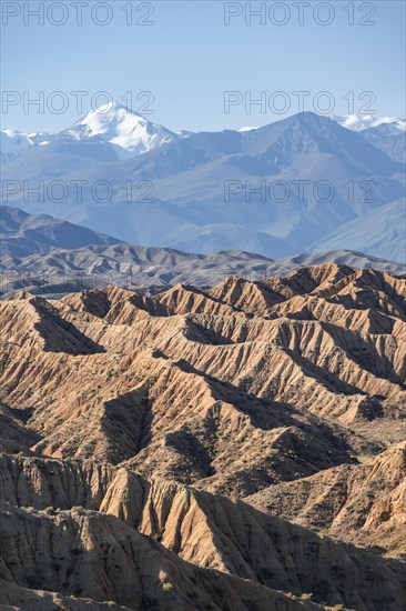 Canyons in desert landscape, mountains of the Tian Shan in the background, eroded hilly landscape, badlands, Valley of the Forgotten Rivers, near Bokonbayevo, Yssykkoel, Kyrgyzstan, Asia
