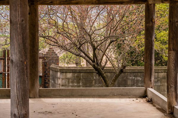 Inside view of old oriental style covered pavilion surrounded by a concrete wall in an overgrown woodland area in South Korea