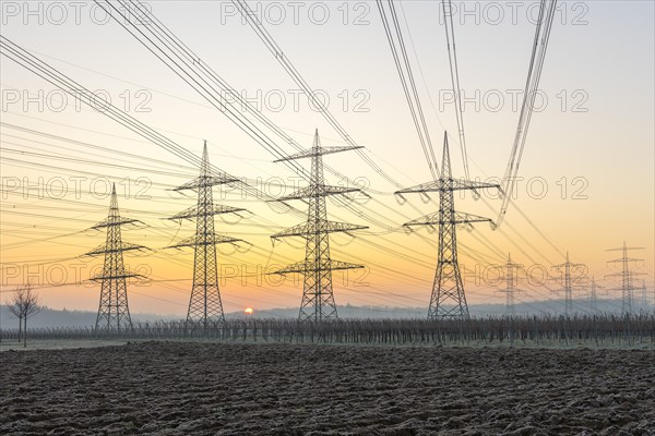 Power pylons, overhead lines, energy supply, sunrise, sun, vineyard, field, Baden-Wuerttemberg, Germany, Europe