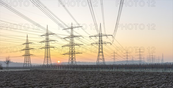 Power poles, overhead lines, sunrise, sun, vineyard, field, panorama, Baden-Wuerttemberg, Germany, Europe