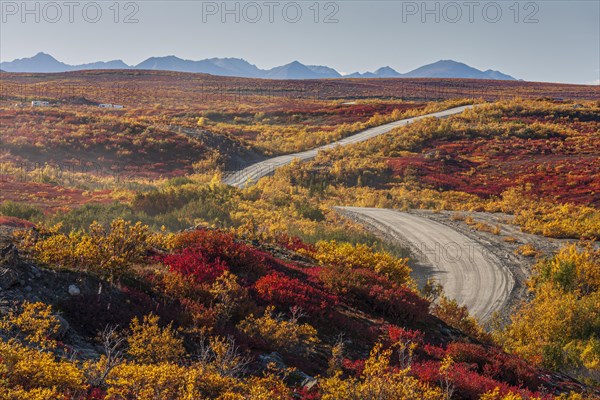 Winding gravel road in autumn in front of mountains, tundra, Denali Highway, Alaska Range, Alaska