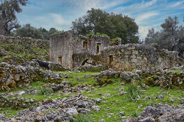 An ancient ruin in a rural landscape with olive trees and a cloudy sky, sky replaced, Aradena Gorge, Aradena, Sfakia, Crete, Greece, Europe