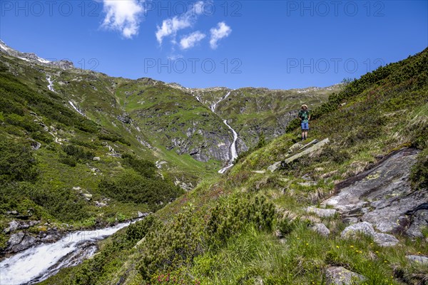 Mountaineer on a hiking trail by a mountain stream, Kesselbach, Berliner Hoehenweg, Zillertal Alps, Tyrol, Austria, Europe