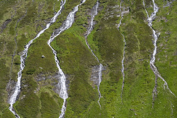 Waterfalls on a green mountainside, Berliner Hoehenweg, Zillertal Alps, Tyrol, Austria, Europe