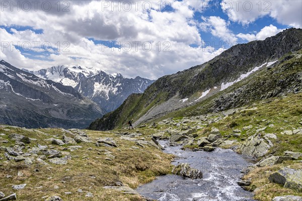 Mountaineers on a hiking trail, Berliner Hoehenweg, mountain panorama with glaciated mountain peaks, summit Hochfeiler and Hoher Weisszint, Zillertal Alps, Tyrol, Austria, Europe