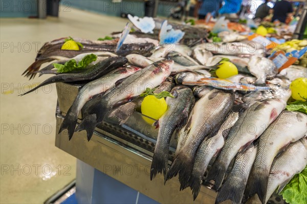 Fish stand at the local city market with tasty food