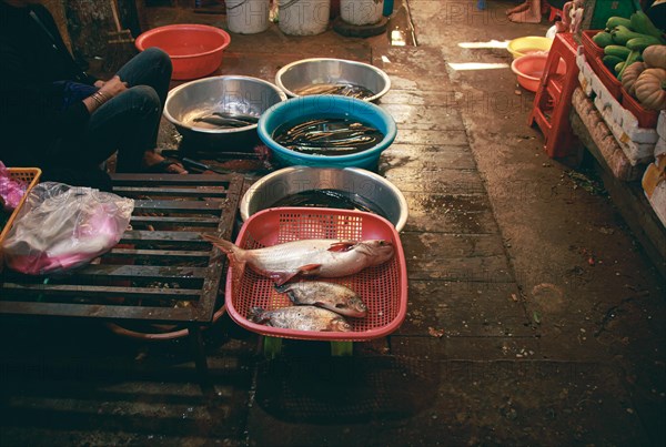 A fishmonger selling and waiting for costumers at the local Samaki Market in Kampot Cambodia showing the authentic khmer daily life, livelihood and culture