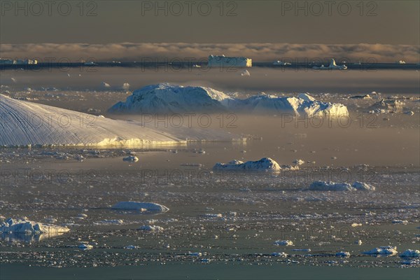 Icebergs in the fog, midnight sun, summer, Ilulissat Icefjord, Disko Bay, Jakobshavn Glacier, Greenland, North America