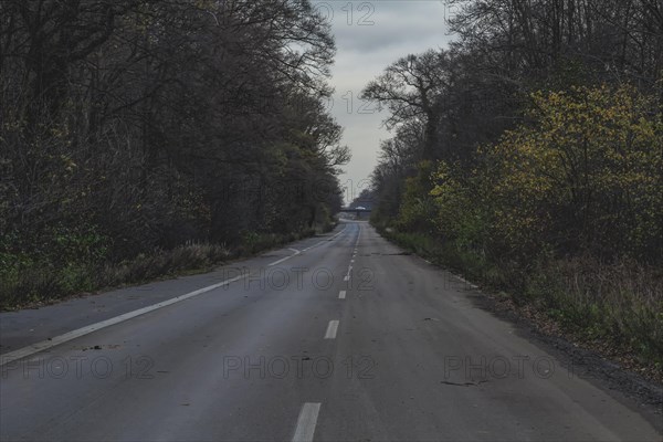 A straight country road, lined with trees and under a grey autumn sky, abandoned A4 motorway, Lost Place, Buir, Kerpen, North Rhine-Westphalia, Germany, Europe