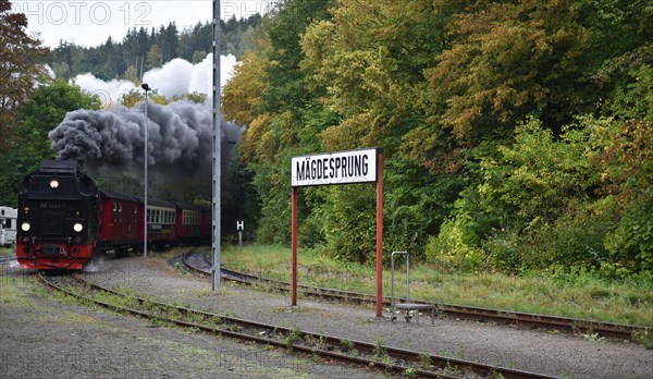 Steam locomotive of the Harz narrow-gauge railway runs through the Harz mountains, Saxony-Anhalt, Germany, Europe