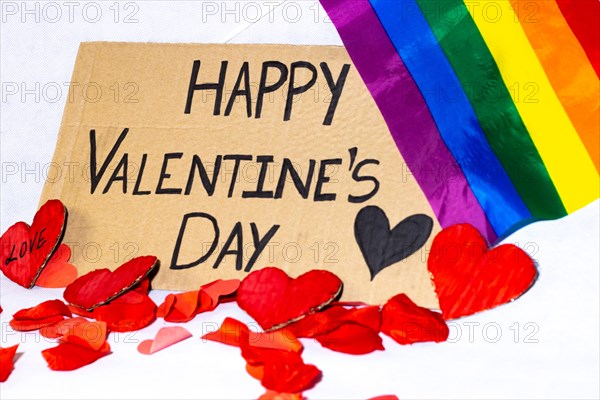 Cardboard sign Happy Valentine's Day lgbtq+ isolated. Text of Happy Valentine's Day written on a cardboard
