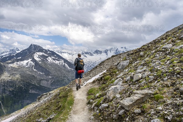 Mountaineer on hiking trail, Berliner Hoehenweg, mountain landscape with glaciated peaks Hochfeiler and Hoher Weisszint, Zillertal Alps, Tyrol, Austria, Europe