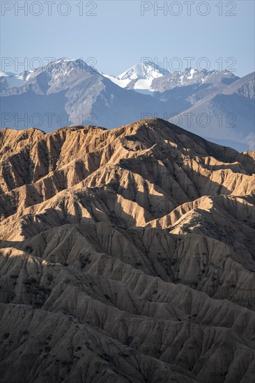 Canyons, mountains of the Tian Shan in the background, eroded hills, badlands, Valley of the Forgotten Rivers, near Bokonbayevo, Yssykkoel, Kyrgyzstan, Asia