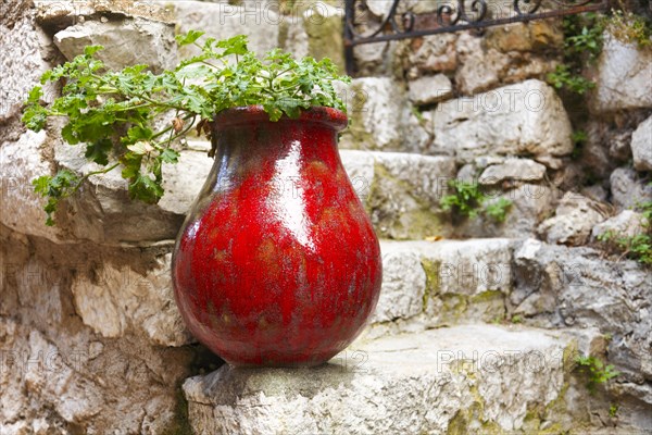 Flower pot on a natural stone staircase, Eze, Cote d'Azur, Provence, France, Europe