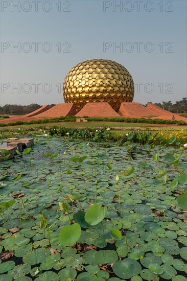 Lotus pond, meditation centre Matrimandir or Matri Mandir, future city Auroville, near Pondicherry or Puducherry, Tamil Nadu, India, Asia