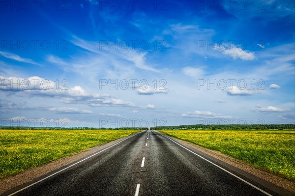 Travel concept background, an empty road with a blue sky and blooming green spring fields on either side