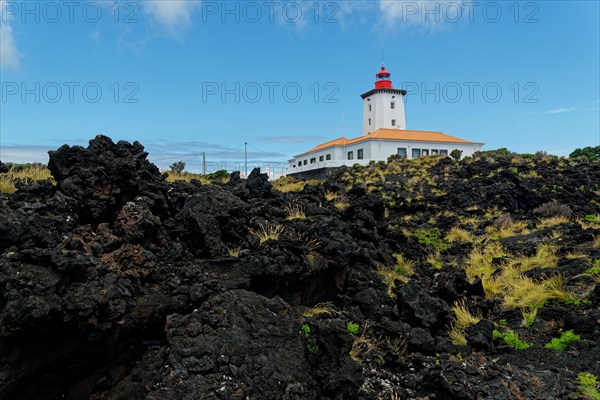 Lighthouse Farol da Ponta da Iha surrounded by dark volcanic rocks and green vegetation in daylight, lava rocks coastal path Ponta da Iiha, Manhenha, west coast, Pico, Azores