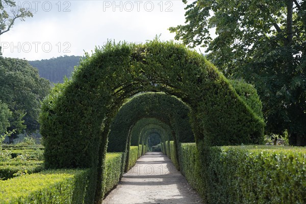 Tunel de Cedros, Mateus Palace (Fundacao da Casa de Mateus), Mateus, Vila Real, Portugal, Europe