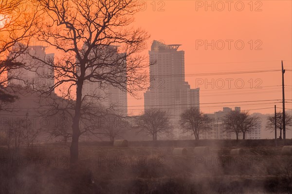 Smoke in the air at sunset obscures the view of apartments and trees and creates a halloween like orange glow in the sky