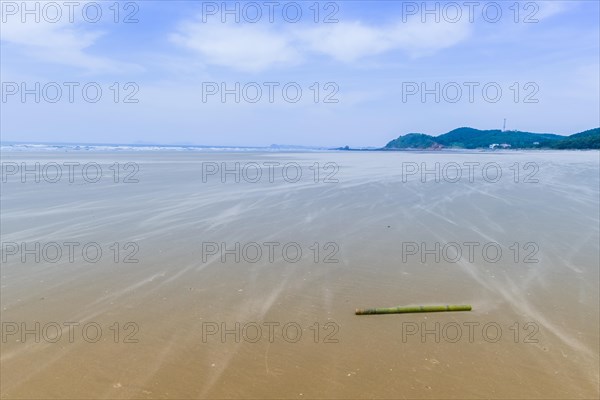 Solitary bamboo pole laying on windswept beach on cold morning with ocean waves and blue sky in background