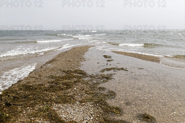 Stormy weather, waves in the Gulf of Saint Lawrence, Gaspesie, Province of Quebec, Canada, North America