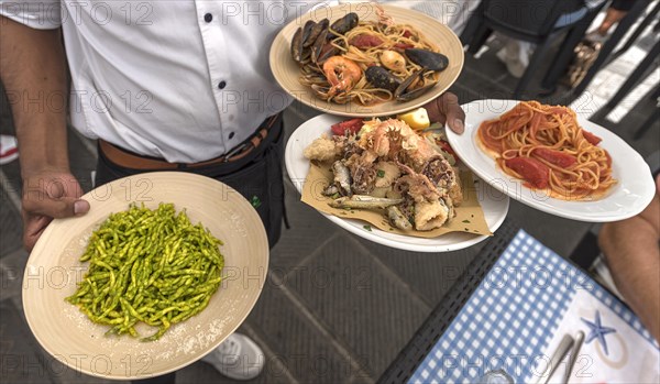 Waiter serves trofie al pesto alla genoves, seafood, spaghetti al pomodoro to a table, Genoa, Italy, Europe