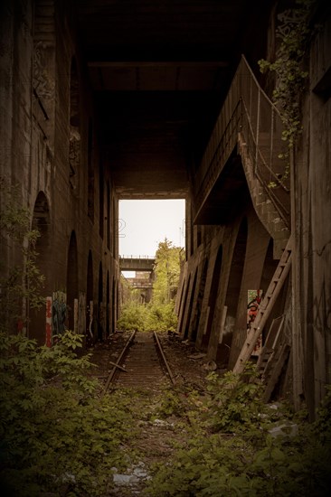 An abandoned railway structure with arches and natural overgrowth, decorated with graffiti, former Rethel railway branch, Lost Place, Flingern, Duesseldorf, North Rhine-Westphalia, Germany, Europe
